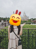 太平鸟女装法式撞色连衣裙2024夏新款高级感圆领短袖长裙百褶裙子 浅粉 S 实拍图