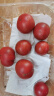 京地达栗贝诺山东铁皮草莓西红柿 绿腚碱地水果番茄精选4斤源头直发 实拍图