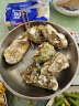 贝司令【鲜活】乳山生蚝海鲜特产贝类牡蛎烧烤XL 净重4斤 16-22只礼盒装 实拍图