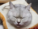 麦富迪 猫条 成猫幼猫咪猫湿粮猫零食猫条三文鱼味14g*5 实拍图