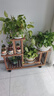 华观家居（Home Giving Furniture）多层实木花架阳台置物架室内花架子客厅落地式多肉绿萝花盆植物架 B款碳色带轮 实拍图