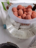 水培植物玻璃瓶透明玻璃花瓶容器绿萝花盆圆球形鱼缸水养大号器皿 20圆球花瓶-水培 实拍图