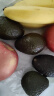 京鲜生 秘鲁进口牛油果 宝宝果4粒装 单果重110g起 生鲜 新鲜水果 实拍图