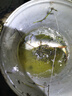 川泽鱼漂浮珠对撞醒目豆加粗高灵敏近视纳米荧光豆轻口鲫鱼漂钓鱼配件 10对【10红顶珠+10黄浮珠】盒装 晒单实拍图