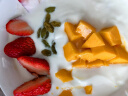 川秀酸奶发酵菌（奶酪型）家用自制酸奶粉发酵粉发酵剂量贩装30g 实拍图