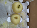 京鲜生 山东黄元帅苹果 净重4.5斤 果径80-85mm 新鲜水果 源头直发包邮 晒单实拍图