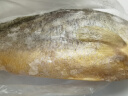鸿顺【冰鲜】黄花鱼4条4斤 生鲜鱼类 宁德大黄鱼 源头直发 晒单实拍图