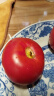 味小仙辽宁丹东草莓柿子（发顺丰）铁皮柿子绿腚油柿子西红柿番茄蔬菜 5斤 实拍图