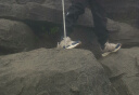 骆驼（CAMEL）徒步鞋男士运动休闲鞋减震户外登山鞋防水旅游鞋 FB1223a5182 实拍图