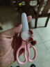 拜格（BAYCO）辅食剪刀辅食工具婴儿宝宝便携手动食物剪研磨器厨房儿童BD3630 实拍图