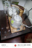 金灶（KAMJOVE） 全智能净水器版自动上水电热水壶 全自动电茶炉 泡茶烧水壶 G9净水器版 晒单实拍图