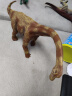 MECHILE恐龙玩具霸王龙恐龙世界模型套装仿真动物暴龙玩具儿童生日礼物 腕龙 实拍图