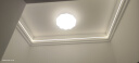 雷士（NVC）简约奶油风玄关灯书房卧室花型吸顶灯天花走廊灯24瓦WHDD24F/G-03 实拍图