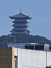 小米14 5G手机光影猎人900徕卡光学镜头 骁龙8Gen3【现货当天发】 黑色 16+1TB全网通 实拍图