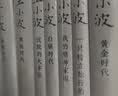 王小波全集精装版7册沉默的大多数/黑铁时代/白银时代/青铜时代/黄金时代/我的精神家园一只特立独 晒单实拍图