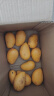京鲜生 海南小台农芒果 2.5kg装 单果50g以上 新鲜水果 实拍图