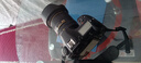 尼康（Nikon） D850、D810、D800、D750、D780、D700、D6、D5适用镜头 24-120 f4风景人像拆机镜头 官方标配 实拍图
