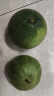 城南堡花 绿宝甜瓜 绿宝石香瓜 新鲜时令水果 3斤(6-9个) 晒单实拍图