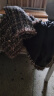 罗宾汉  ROBINHOOD连衣裙女装时尚春装套装女2024年春秋季新款衣服小香风裙子 连衣裙+外套 L (建议100-120斤) 晒单实拍图