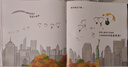 小鸡海蒂的回家之旅 实拍图
