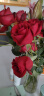 钟爱（love）云南昆明鲜花基地直发玫瑰家庭插花花束直批鲜花 红玫瑰20枝 实拍图