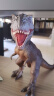 RECUR  恐龙玩具软胶大号霸王龙侏罗纪儿童仿真动物模型玩具摆件 暴龙（大号）RC16115D生日礼物 实拍图