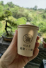 青岛啤酒（TsingTao）精酿系列 金质小棕金低温酿造296ml*6瓶 尝鲜装 春日出游 实拍图