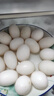 均鲜新鲜原粮乳鸽生鲜鸽子现杀农家非老鸽肉烧烤清蒸孕妇产妇月子煲汤 660g 左右2只母乳乳鸽 实拍图