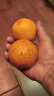 良田石山正宗赣南州新鲜脐橙生果冻爆甜鲜橙子大果产地直发水果生鲜整箱 4.5斤 中果 单果60-65mm净重4斤 晒单实拍图