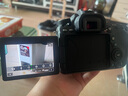 佳能/Canon 60D 70D 80D 77D 90D 二手单反相机 半画幅中端级数码相机 80D+18-55 IS STM 套机 99新 实拍图