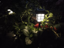 晚灯太阳能草坪灯庭院草地家用小夜灯插地户外防水院子花园景观装饰灯 白光方格【加大版 带底座地插】 实拍图
