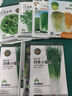 京农研农科院蔬菜种子大叶香菜四季小葱鸡毛菜红苋菜芝麻菜空心菜种籽孑 京农研四季小香葱5克 实拍图