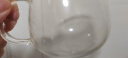 富光花茶杯 男女士茶水分离杯子 双层办公泡茶玻璃杯带把高硼硅水杯 实拍图