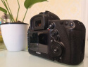 佳能Canon 5D4 6D2 5D3 5D2 6D 二手全画幅单反相机 专业级4K高清旅游数码相机 5D4（24-70mm F2.8套机） 标配 99成新 晒单实拍图