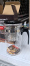 金灶（KAMJOVE）玻璃茶壶 按压式飘逸杯 茶水壶玻璃茶具 茶水分离杯泡茶器泡茶壶 TP-160/500ml容量 实拍图