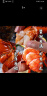 渔传播【活鲜】波士顿龙虾大波龙鲜活500g/只*2只 海鲜虾类源头直发 晒单实拍图