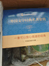 外国文学经典名著套装 鲁滨逊漂流记 名人传 格列佛游记 钢铁是怎样炼成的等 阅读（套装共8册） 实拍图
