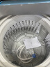 海尔（Haier）波轮洗衣机全自动家电 以旧换新 原厂品质 脱水机10公斤  防菌防霉  老人可用 100Z129 实拍图