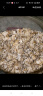 西麦有机纯燕麦片880g桶即食高蛋白营养早餐冲饮谷物代餐 实拍图