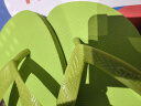 havaianas哈唯纳Top炫彩夹脚人字拖女夏海边平底拖鞋亲子款 新色1411-柠檬绿 41-42 巴西码 实拍图