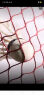 靓健羽毛球网便携式 标准网6.1m*76cm 2.0cm网眼四包边专业型 实拍图