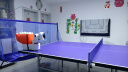 庞伯特NOVA 乒乓球发球机 家用台面便携式智能乒乓球训练器 发球器 NOVA发球机+智能遥控器 晒单实拍图