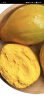 新鲜当季鸡蛋果 云南/海南蛋黄果 狮头果热带水果香甜粉糯 大果（单果120-200g） 2500g 实拍图