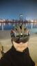 yaphtes骑行头盔自行车头盔国标认证磁吸风镜男女安全帽 黑红色 晒单实拍图
