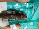 同仁堂（TRT）品牌北京同仁堂大连即食海参海鲜水产大连高品质非野生非干货送礼 即食海参 300g （10只） 实拍图