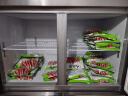 雪村 四门厨房冰箱商用冰箱电子温控 四门冰柜冷冻冷藏不锈钢 餐饮后厨保鲜柜冷柜 CFS-40N4 实拍图