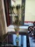 弗莱文茨欧式炫彩水晶玻璃花瓶创意孔雀家居摆件家用客厅插花水养花器花瓶 七彩孔雀花瓶-大号 晒单实拍图