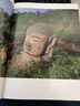 巴蜀石窟：藏在乡野的中华文明（阿来/黎方银/魏学峰联袂推荐，《中国国家地理》摄影师历时16年打造，中国石窟的另一种可能，颠覆你对石窟的以往想象） 实拍图