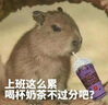 制选全楠竹鞋架子简易进门口家用宿舍收纳经济型新置物小鞋柜 【五层款】47-23-77 多层收纳 简易安装 实拍图