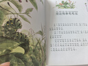 杨红樱童话注音本系列：毛毛虫的天空（美绘版） 儿童年货节送礼 实拍图
